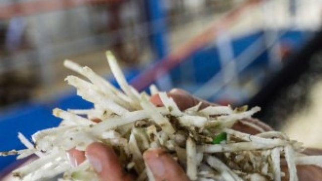 <p>
	<em>Снимка: Bloomberg LP</em></p>
