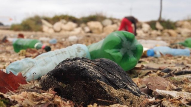 <p>
	<em>Снимка: архив, БГНЕС</em></p>
