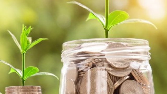 <p>
	<em>Снимка: Pixabay.com</em></p>
