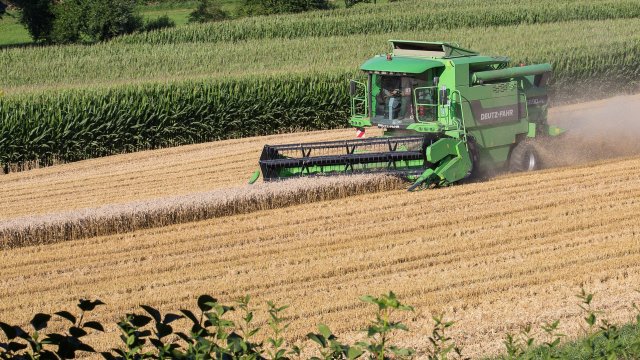 Снимка: Pixabay