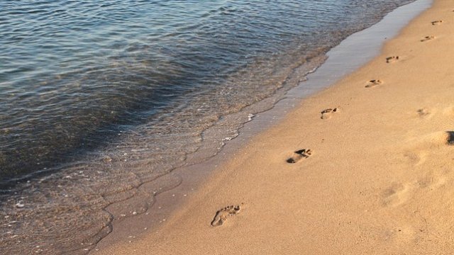 <p>
	<em>Снимка: Pixabay</em></p>
