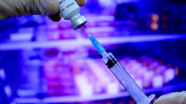 <p>
	<em>Снимка: БГНЕС</em></p>
