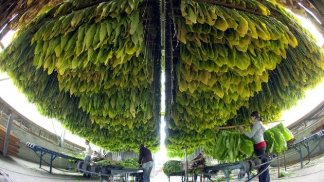 <p>
	<em>Снимка: архив Ройтерс</em></p>
