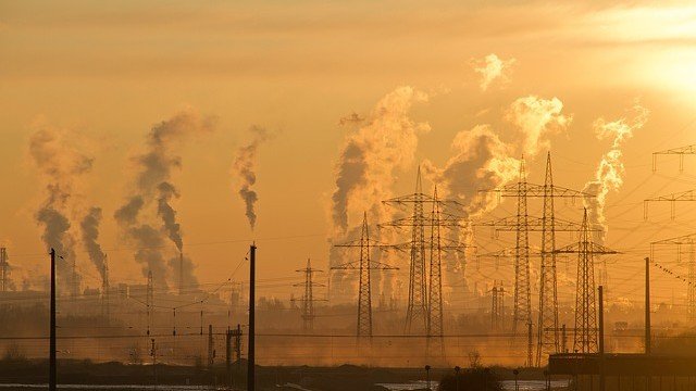 <p>
	<em>Снимки: Pixabay</em></p>
