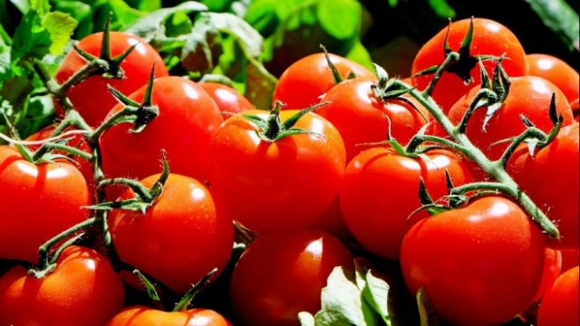 <p>
	<em>Снимка: Pixabay</em></p>
