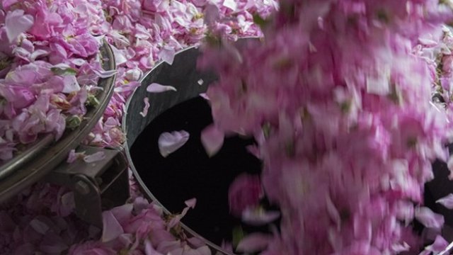 <p>
	<em>Снимка:</em> <em>Надежда Бочева, Investor.bg</em></p>
