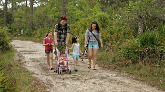 <p>
	<em>Снимка: Pixabay</em></p>
