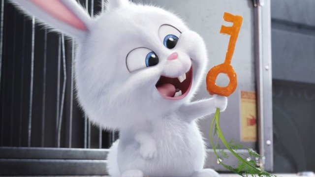 <p>
	<em>Снимка: www.thesecretlifeofpets.com</em></p>
