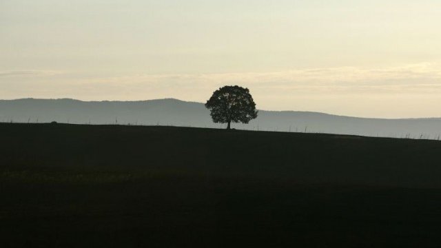 <p>
	<em>Снимка: архив, Ройтерс</em></p>
