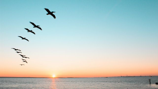 Снимка: unsplash.com