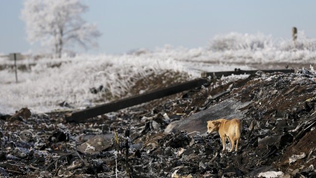 <p>
	Останки от сваления в Източна Украйна малайзийски полет MH17. <em>Снимка: Ройтерс</em></p>
