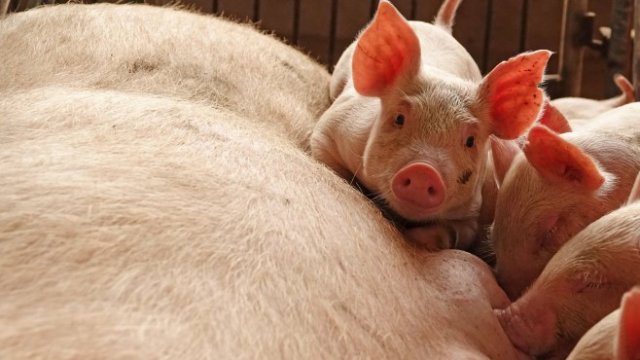 <p>
	<i>Снимка: Ройтерс</i></p>
