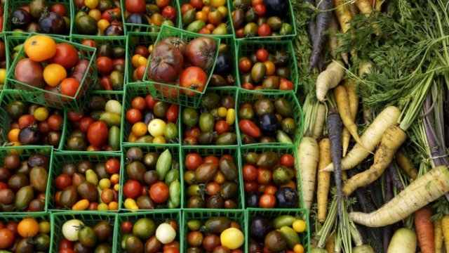 <p>
	<em>Снимка: pixabay.com</em></p>
