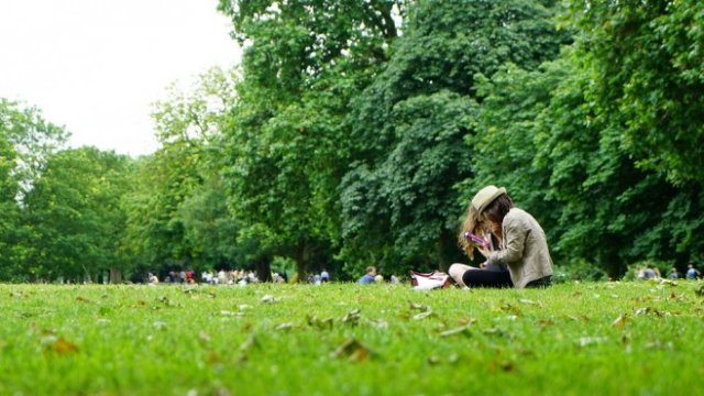 <p>
	<em>Снимка: pixabay.com</em></p>
