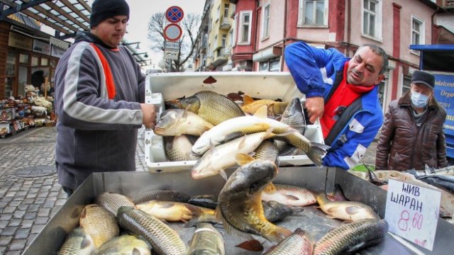 Кадър на деня за 6 декември