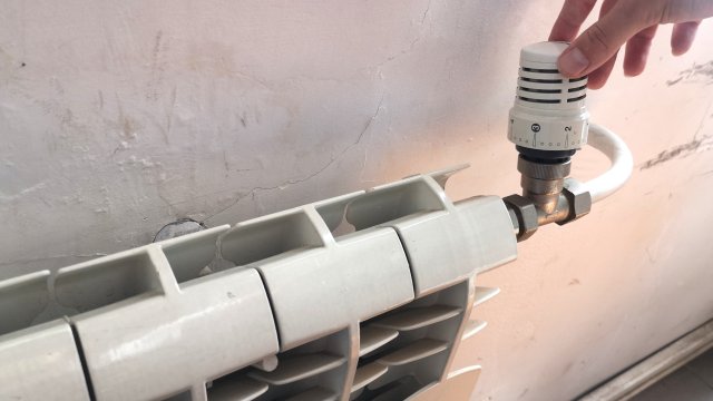 Снимка: БГНЕС/МИХАЕЛА КАТЕРИНСКА