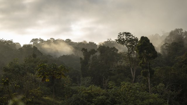 Снимка: Bloomberg L.P.