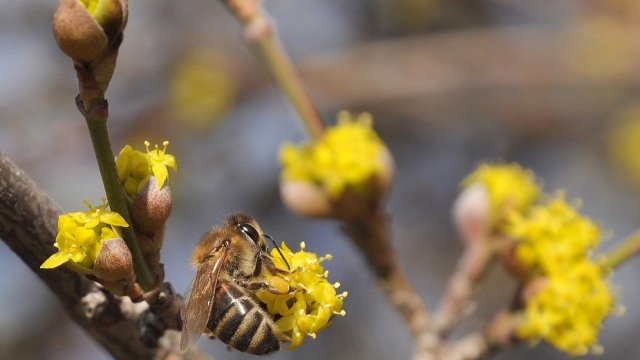 <p>
	<em>Снимка: БТА</em></p>
