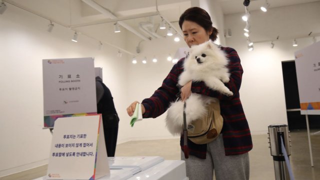 Снимка: Chung Sung-Jun/Getty Images