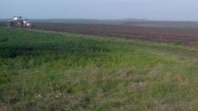 „Елана Агрокредит“ с 22% спад на финансираните сделки за второто тримесечие