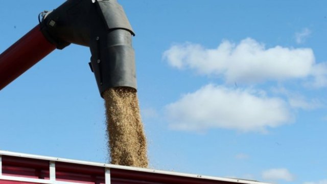 <p>
	<em>Снимка: Bloomberg Creative Photos</em></p>
