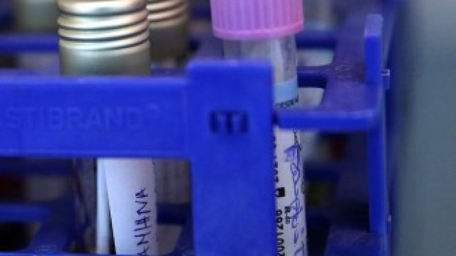 <p>
	<em>Снимка: EPA/БГНЕС</em></p>
