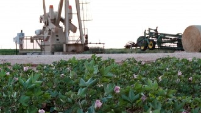 <p>
	<em>Снимка:Архив на Ройтерс</em></p>
