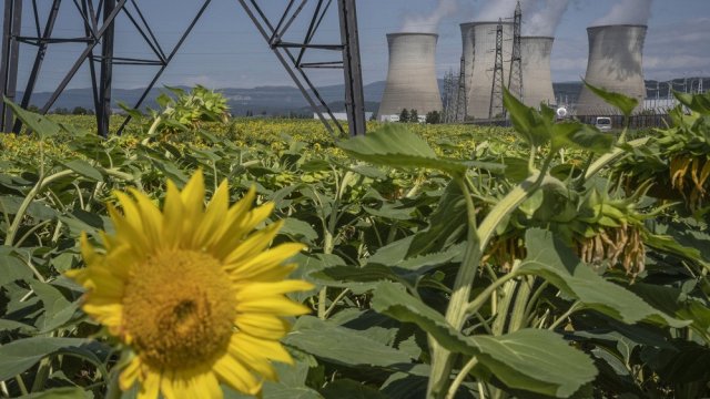 Снимка: Bloomberg LP