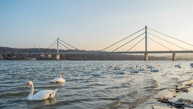 <p>
	<em>Снимка: Pixabay</em></p>
