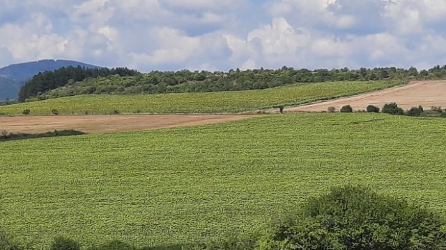 <p>
	Снимка: Investor.bg</p>
