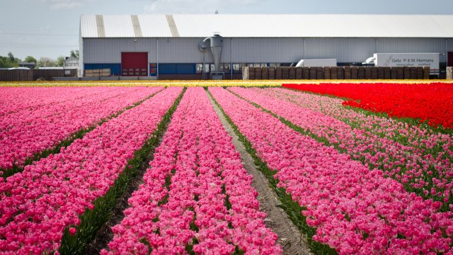 Снимка: Investor.bg