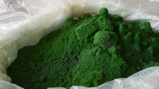 Снимка: Bloomberg L.P.