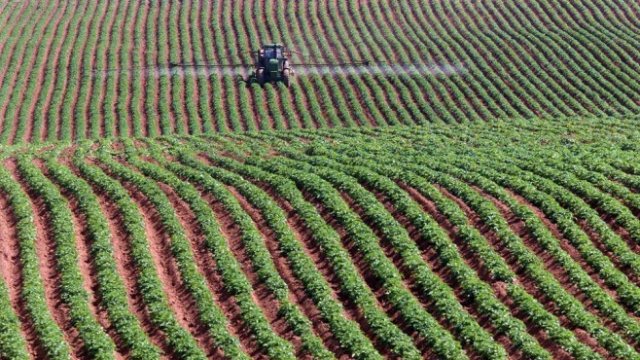 <p>
	<em>Снимка: Архив Ройтерс</em></p>
