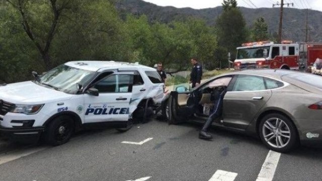 <p>
	Снимка: Twitter</p>
