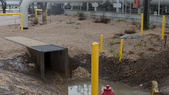 <p>
	<em>Снимка: Ройтерс</em></p>
