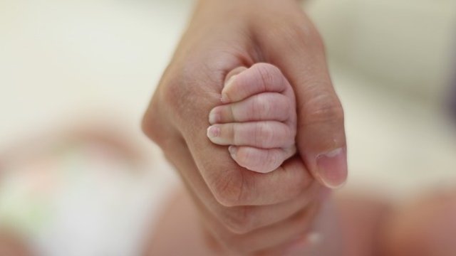 <p>
	<em font-size:="" pt="" style="color: rgb(102, 102, 102); font-family: ">Снимка: Pixabay</em></p>
