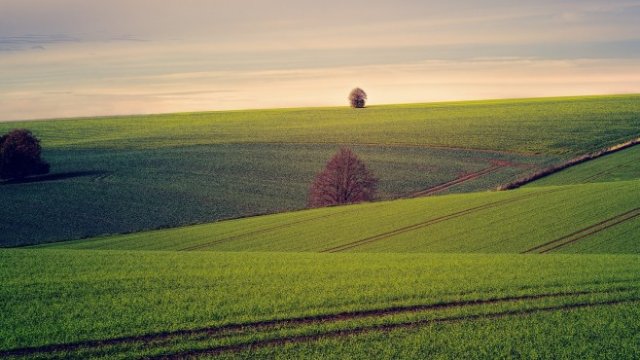 <p>
	Снимка: Pixabay</p>
