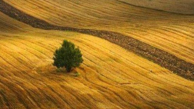 Елана Агрокредит АД със 70% спад на финансираните сделки за януари и февруари