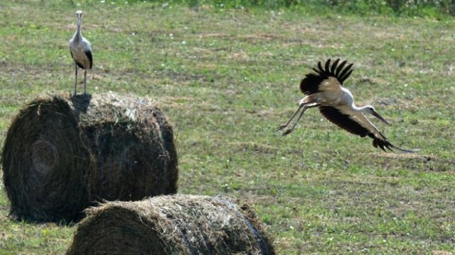 <p>
	<em>Снимка: БТА</em></p>
