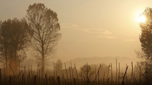 <p>
	<em>Снимка: Ройтерс</em></p>
