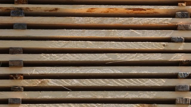 <p>
	Липсата на дървесина е причина за проблемите на &quot;Свилоза&quot;. <em>Снимка: Bloomberg LP</em></p>
