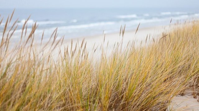 <p>
	<em font-size:="" pt="" style="color: rgb(102, 102, 102); font-family: ">Снимка: Pixabay</em></p>
