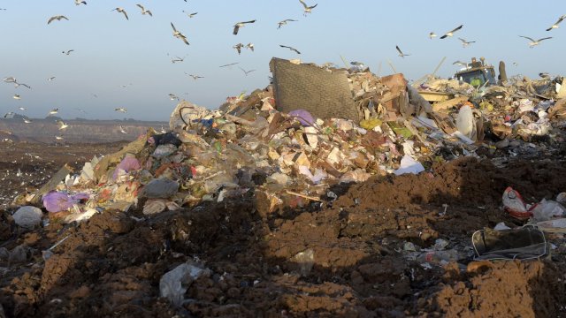 Снимка: Bloomberg LP