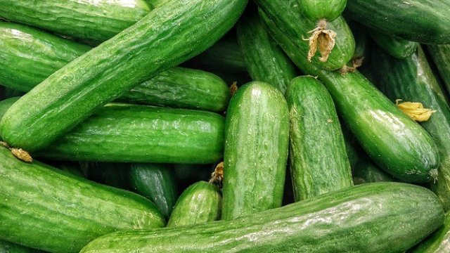 <p>
	<em>Снимка: Pixabay</em></p>
