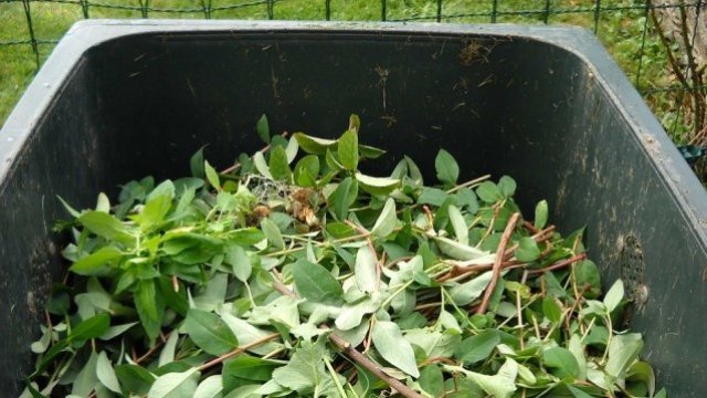 <p>
	<em>Снимка: Pixabay</em></p>
