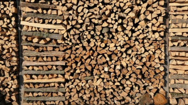 <p>
	<em>Снимка: Pixabay</em></p>
