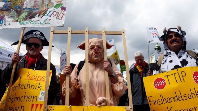 <p>
	Протести срещу Трансатлантическото търговско споразумение (TTIP) в Мюнхен. Противниците на споразумението го свързват с по-широко навлизане на ГМО на европейския пазар.<em> Снимка: Ройтерс</em></p>
