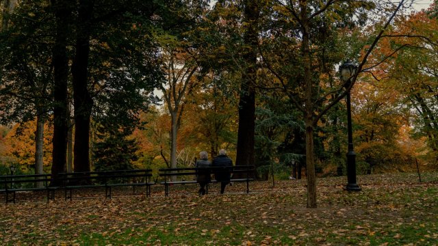 Сентръл Парк. Снимка: Bloomberg