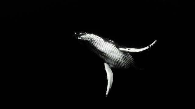 Снимка: Pexels