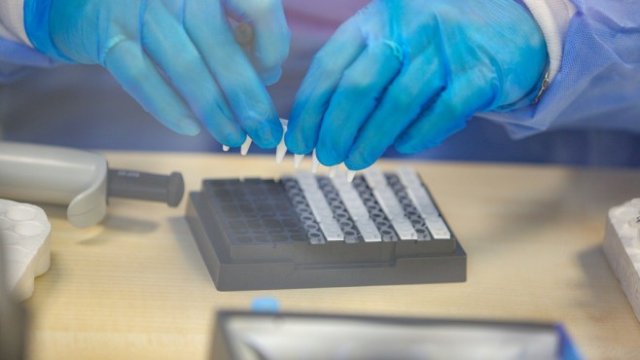 <p>
	<em font-size:="" pt="" style="color: rgb(102, 102, 102); font-family: ">Снимка:&nbsp;Димитър Кьосемарлиев, Investor Media Group</em></p>
